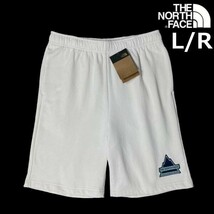 1円～!売切!【正規新品】THE NORTH FACE◆TNF NOV SHORT ショートパンツ スウェット US限定 1966 アウトドア キャンプ(L/R)白 190110-23_画像1