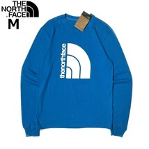 1円～!売切!【正規新品】THE NORTH FACE◆L/S COORDINATES TEE 長袖 Tシャツ ロンT US限定 立体ロゴ 上質 アウトドア(M)青 180902-5_画像3