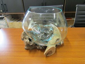 *[ natural wood & glass aquarium ] used beautiful goods!