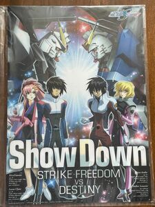 ガンダムSEEDDESTINY クリアポスター