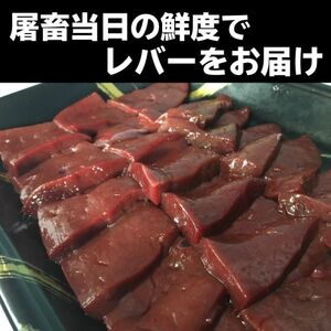 鮮度の変わらない「CAS冷凍」　国産牛 交雑牛 和牛 新鮮 レバー（加熱用） 約300g 真空 発送　鮮度抜群　屠畜当日即冷凍