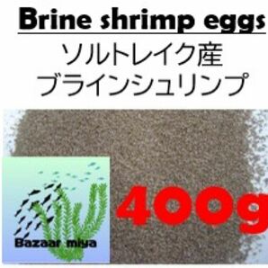 ソルトレイク産ブラインシュリンプエッグ400g