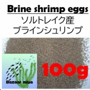 ソルトレイク産ブラインシュリンプ100g