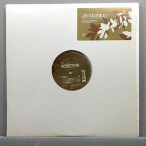 12　米　Francois K Feat. Barbara Mendes/Awakening/Wave Music WM50090-1