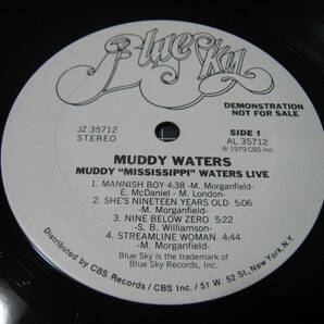 【LP】 MUDDY WATERS / ●白プロモ● MUDDY MISSISSIPPI WATERS LIVE US盤 マディ・ミシシッピ・ウォーターズ・ライヴ JOHNNY WINTERの画像7