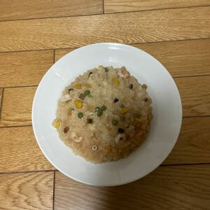  food sample Showa Retro junk ⑤