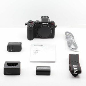  Schott число 7902 раз.* новый товар класс * PANASONIC Panasonic LUMIX DC-S5