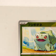 　フシギダネ　モンスターボール SV2a 001/165 　ゼニガメ SM12a 029/173 ポケモンカード_画像2