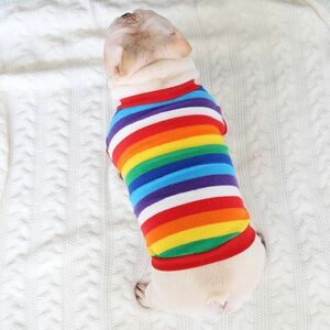  новый продукт собака одежда для средних собак собака одежда радуга рисунок свитер внешний полотенце земля Rainbow Pug f Rebel French bru собака XL размер DJ785