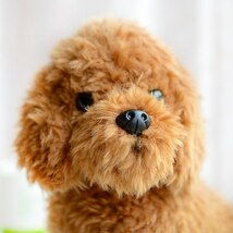 トイ プードル ぬいぐるみ 人形 犬 ドッグ いぬ テディ 子供 プレゼント リアル トイプー インテリア 置物 寝室 お座り 愛犬ZCL008_画像4