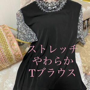 美品　半袖　Tシャツ　ブラウス　カットソー　シアー　トップス　小花柄　ボタニカル　透け感　フリル　花柄　黒　M〜L　