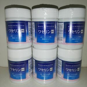 【6個セット】ワセリンHG 100g 白色ワセリン 大洋製薬