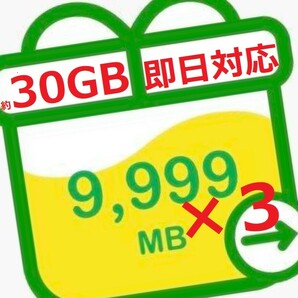 即日対応 匿名 mineo 約30GB(9999MB×3) マイネオ パケットギフトの画像1