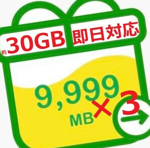 即日対応 匿名 mineo 約30GB(9999MB×3) マイネオ パケットギフト