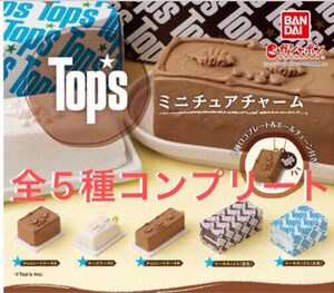 Tops ミニチュアチャーム　全5種コンプリート　ガシャポン