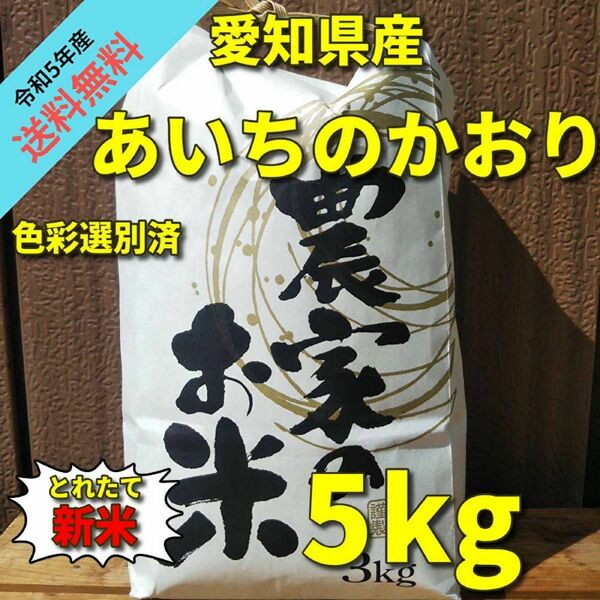 【令和5年 今なら200g増量中！】あいちのかおり (白米5kg)