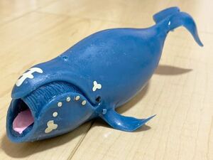 新品 くじら&Co. WHALES&Co. ビッグ セミクジラ くじら フィギュア デアゴスティーニ ホエール 海の生き物 ブックレット付き