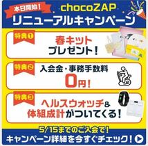 最大10,600円OFF＋春キットプレゼント　入会金、事務手数料無料　RIZAP監修の24時間ジムchocoZAP　チョコザップ　_画像1