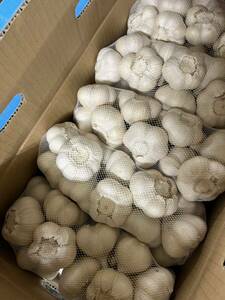  Aomori prefecture production garlic . peace 5 year production sphere L 10kg departure root germination equipped 