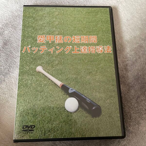 愛甲猛の短期間バッティング上達指導法