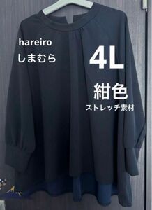 カットソー　4L セットアップ（上） 大きいサイズ　しまむら　キレイ目カジュアル　長袖