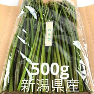 wa..[ Niigata prefecture 10 day block city production ]500g