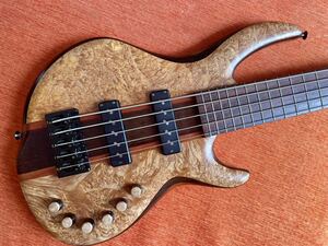 Wyn WSB-5 5A Burl Maple