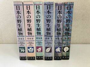 日本の野生植物 ／草本1・2・3／木本1・2／シダ／ 計6冊セット／平凡社