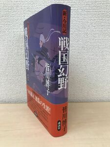 戦国幻野―新・今川記