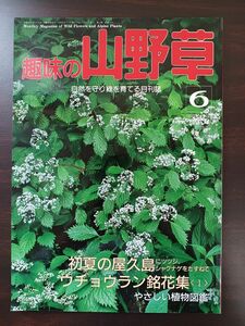 趣味の山野草／1992年6月／初夏の屋久島