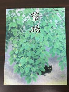 生誕100年記念　山口華楊回顧展／ 朝日新聞社　1999年　図録