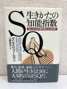 SQ生きかたの知能指数: ほんとうの「頭の良さ」とは何か