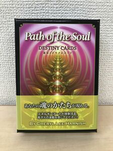 パスオブザソウル　運命のオラクルカード　Path of the Soul　DESTINY CARDS　(日本語版説明書付)　【オラクルカード】