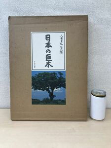 八木下弘写真集　日本の巨木　中央公論社