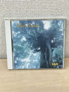 Dear Friend　SAM　サム　松崎博彦・進藤了彦・赤木一孝・坂庭省悟　【CD】