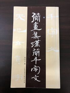 簡庵集漢簡千字文／陳建貢編／上海書畫出版社／1994【塗りつぶし、剝がし跡、書き込み、汚れあり】