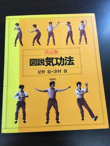 決定版 図説気功法 星野稔 津村喬 柏樹社 1986年