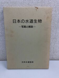 日本の水道生物 ー写真と解説ー 平成5年10月25日発行 日本水道協会