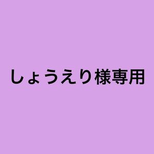 しょうえり様専用　ハンドメイド　がま口　口金　かえるキーホルダー　くまキーホルダー　うさぎキーホルダー　あみぐるみ　スイカ　いちご