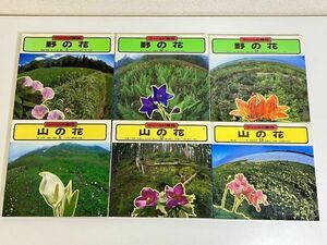 305/フィールド百科 野の花 全3冊+山の花 全3冊 計6冊セット/大場達之/山と渓谷社/昭和57-58年