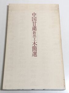 282-D11/中国甘粛 新出土 木簡選 図録/同編集委員会/毎日新聞社/1994年