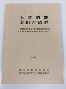 384-D17/大釜遺跡・金山古墳群/関越自動車道地域埋蔵文化財発掘調査報告書/群馬県教育委員会/1983年