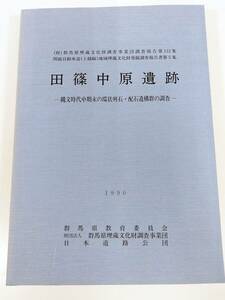 384-D17/田篠中原遺跡 縄文時代中期末の環状列石・配石遺構群の調査/群馬県教育委員会/1990年 付図付き