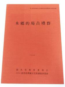 384-D14/本郷的場古墳群/群馬県埋蔵文化財調査事業団調査報告書/群馬県教育委員会/1990年