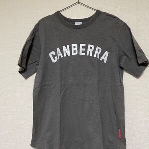 オフィシャルチーム レディース Tシャツ M