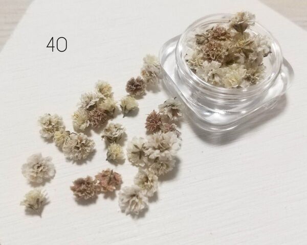 かすみ草 ドライフラワー