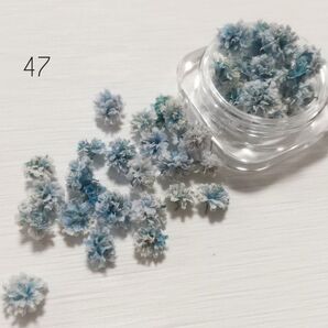 かすみ草 ドライフラワー