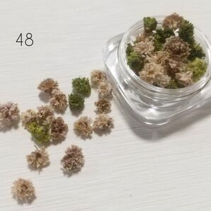 かすみ草 ドライフラワー