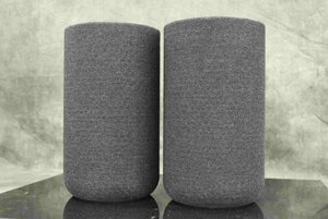 F*SONY Sony SA-LRS5/SA-RRS5 speaker pair * present condition goods *