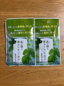 和漢の森 桑の葉 ＆ 茶カテキンの恵み　2袋